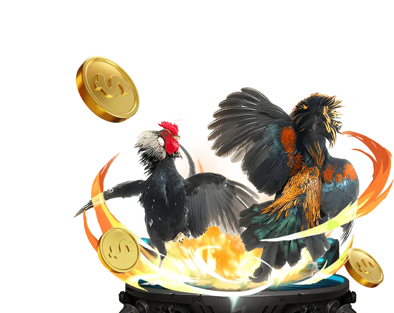 Khuyến mãi và ưu đãi FCB8